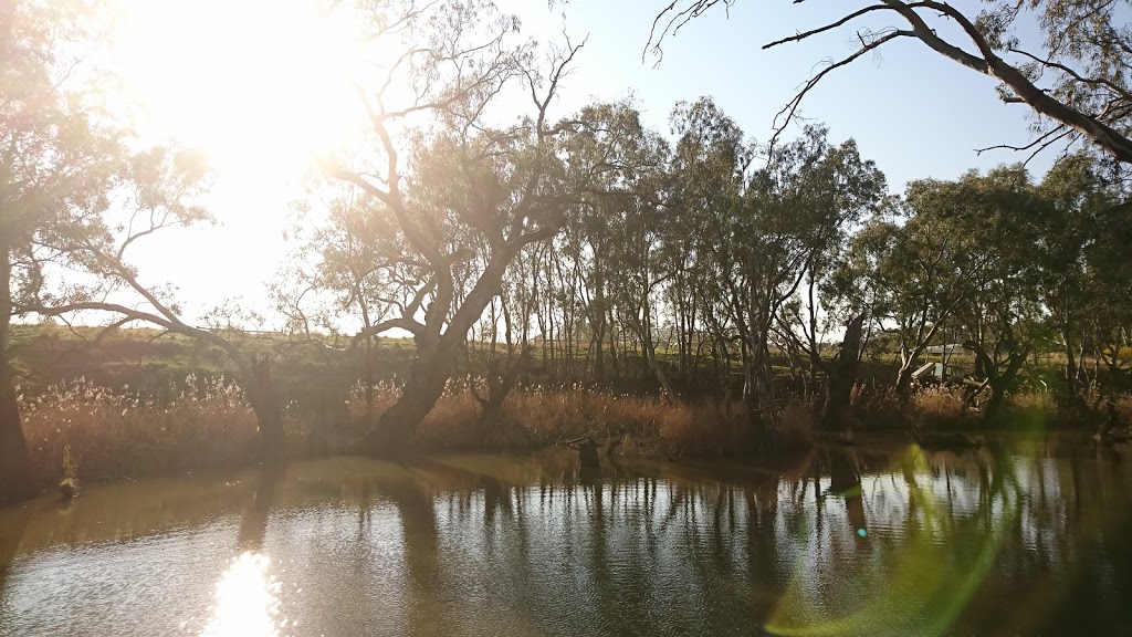 Campaspe River Reserve | park | Rochester VIC 3561, Australia