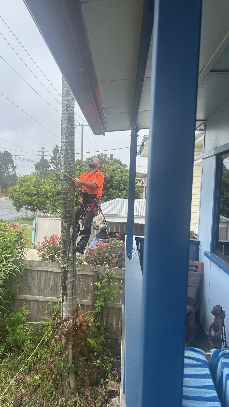 COLOURFUL TREE LOPPING STUMP GRINDING | 44A Oyster Point Esplanade, Scarborough QLD 4020, Australia | Phone: 0438 988 985