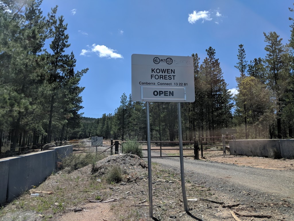 Kowen Pine Forest | Kowen ACT 2620, Australia