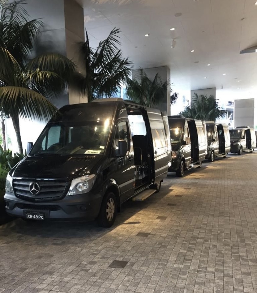 Mini VAN Bus | 7 Barford Way, Harrington Park NSW 2567, Australia | Phone: 0499 976 234