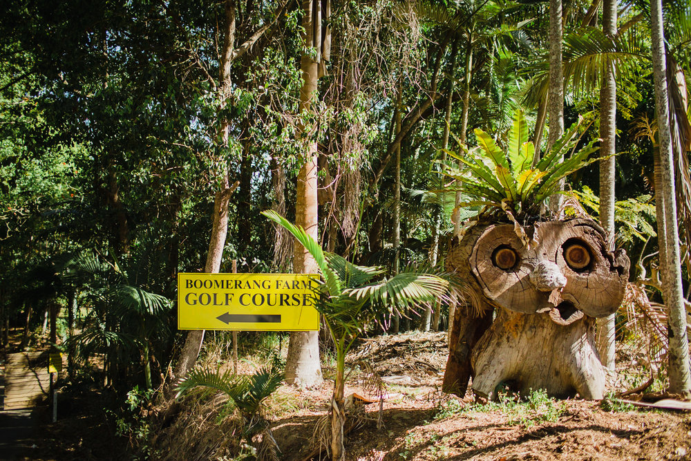 Boomerang Farm Bike Park | 55 Johns Rd, Mudgeeraba QLD 4213, Australia | Phone: 0409 669 750