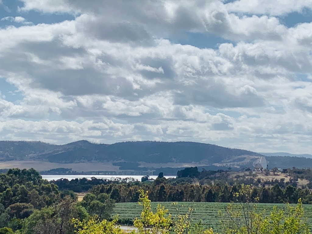 Craigow Vineyard | 528 Richmond Rd, Cambridge TAS 7170, Australia | Phone: 0418 126 027