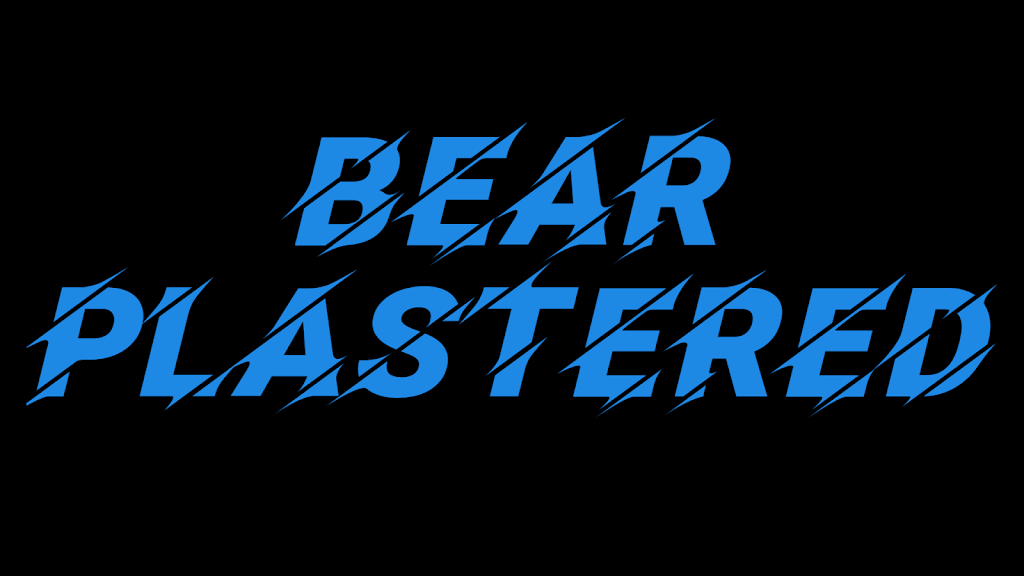 Bear Plastered | 19 Joel Ave, Carlton TAS 7173, Australia | Phone: 0408 008 903