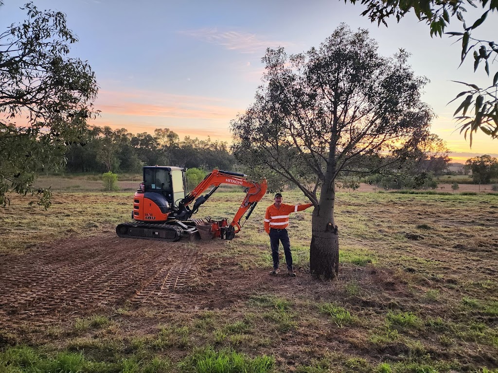 Ace of Spades Tree Relocators | 811 Toowoomba Connection Rd, Withcott QLD 4350, Australia | Phone: 0438 383 213