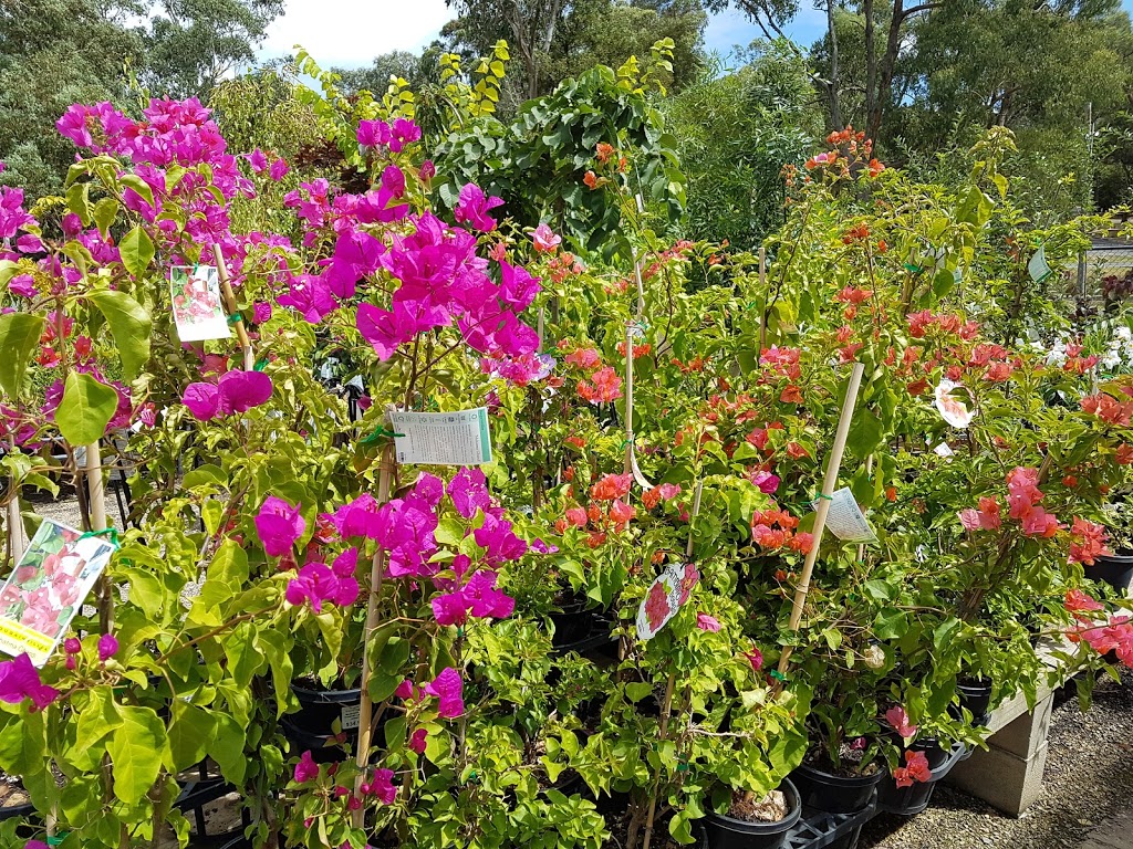 The Home of Garden Lovers | store | 136 York Rd, Mount Evelyn VIC 3796, Australia | 0397370851 OR +61 3 9737 0851