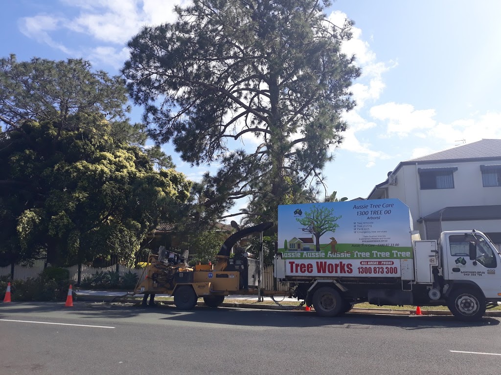 Aussie Tree Care | 16 Tillyroen Rd, Ormeau Hills QLD 4209, Australia | Phone: 1300 873 300