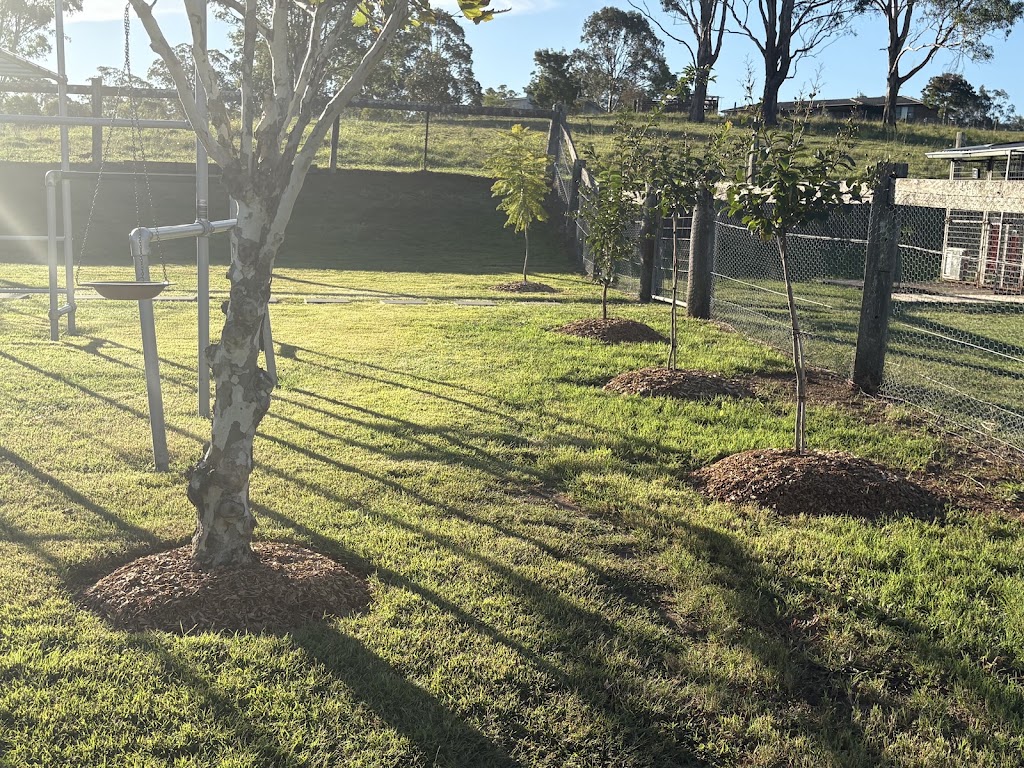 Fluro Gardens | 40 Queen St, Lorn NSW 2320, Australia | Phone: 0494 372 117