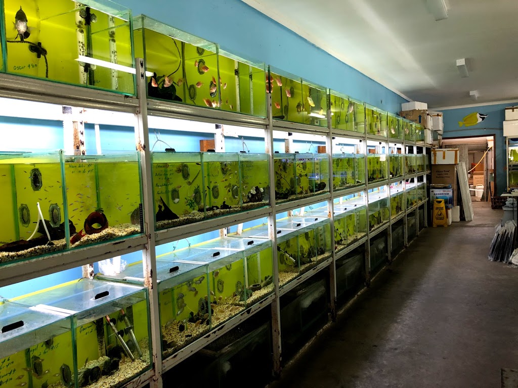 Oceanarium Aquarium | aquarium | 145 Queen St, St Marys NSW 2760, Australia | 0296735133 OR +61 2 9673 5133