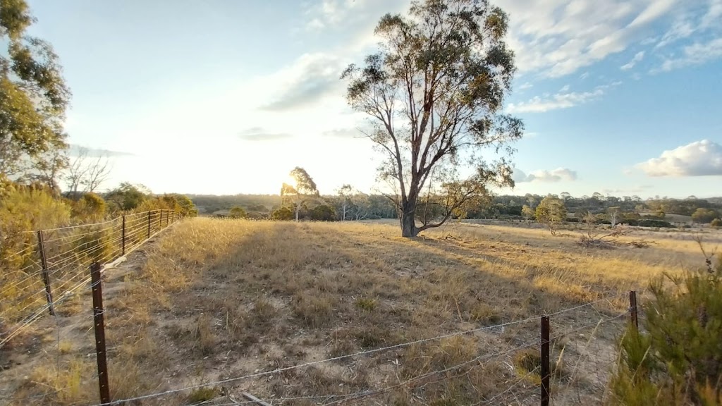Willowleaf Properties P/L | 21 Paddys Cl, Lower Boro NSW 2580, Australia | Phone: 0437 977 861