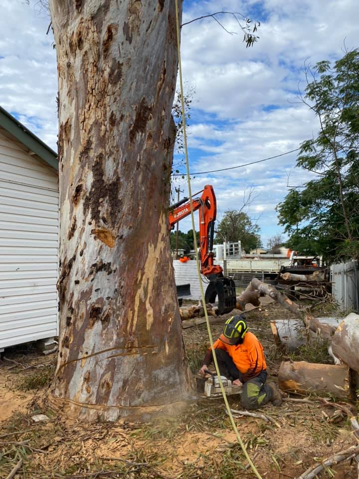 A1 Tree Service NSW Pty Ltd | 7L Gilgandra Rd, Dubbo NSW 2830, Australia | Phone: (02) 6882 2052