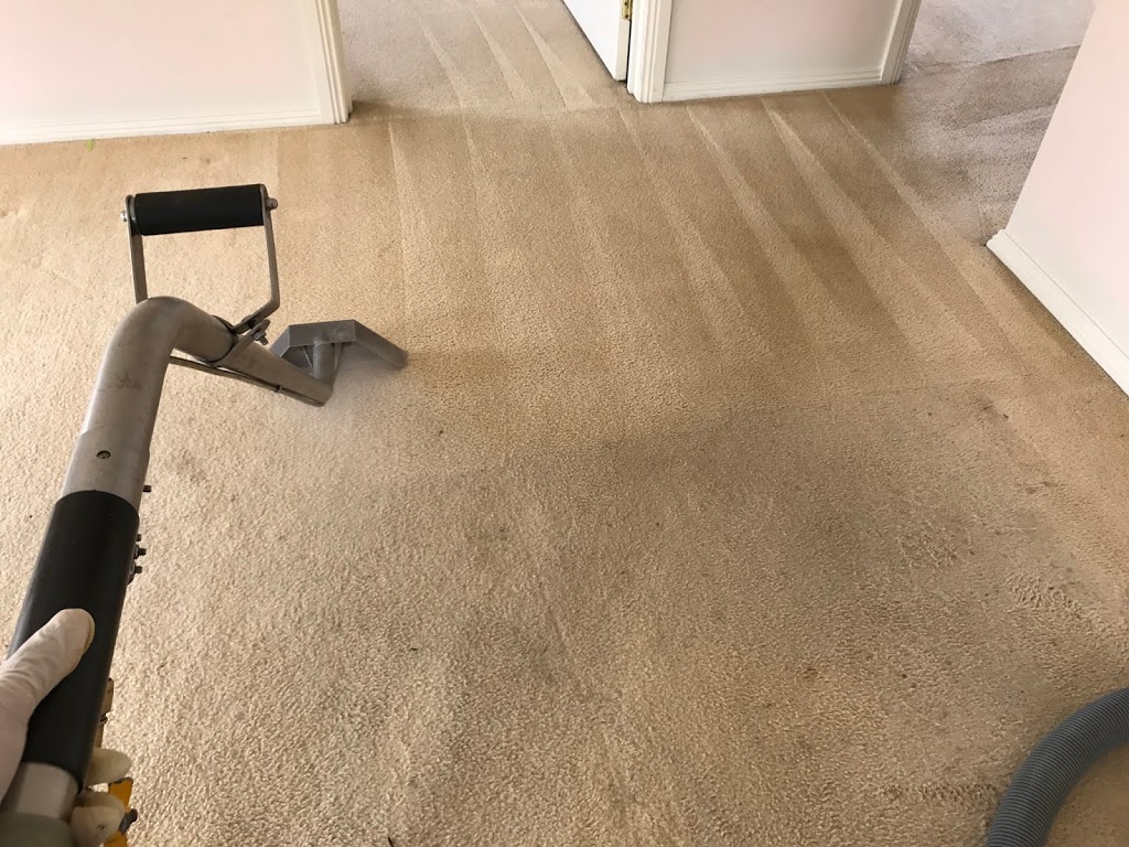 Best Carpet Steam Cleaning & Upholstery - Mattress Steam Cleanin | 25A Worrell St, Nunawading VIC 3131, Australia | Phone: 0450 677 010