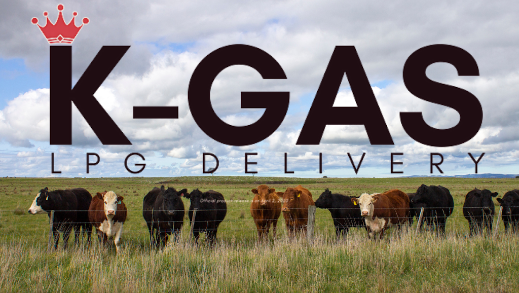 K Gas - LPG Cylinder Delivery | store | 164 Aireys St, Colac VIC 3250, Australia | 0439310563 OR +61 439 310 563