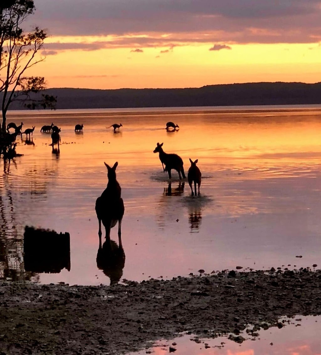 Aussie Backyard Tours | 32 Denman St, Greenslopes QLD 4120, Australia | Phone: 0430 552 032