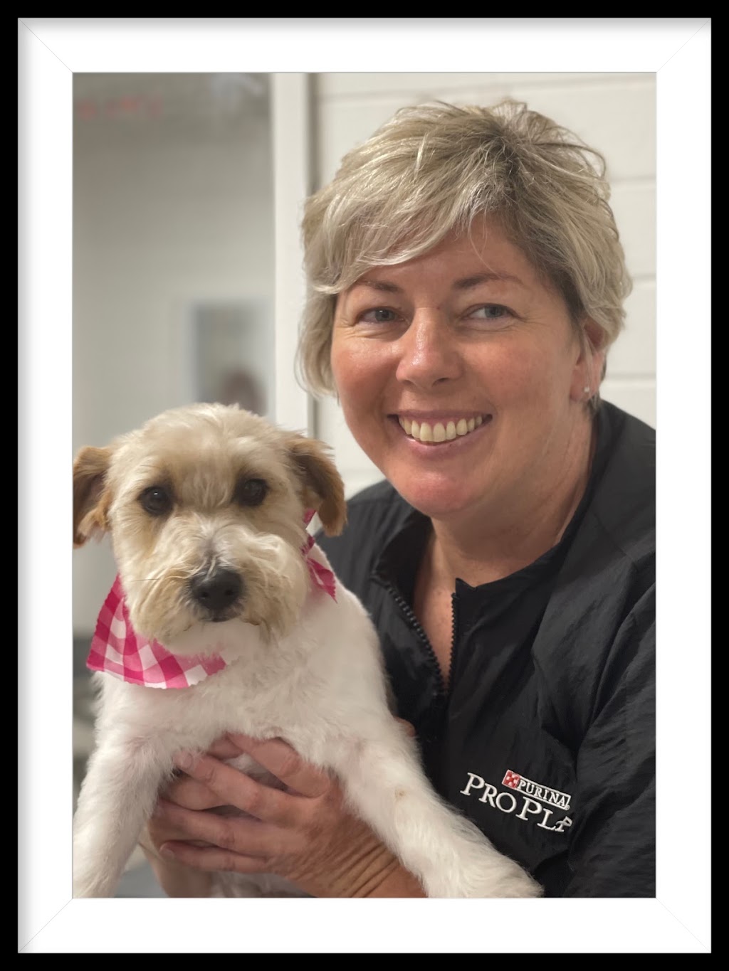 I Love Dogs Grooming Salon |  | 16 Lepemi Pl, North Haven NSW 2443, Australia | 0466186293 OR +61 466 186 293