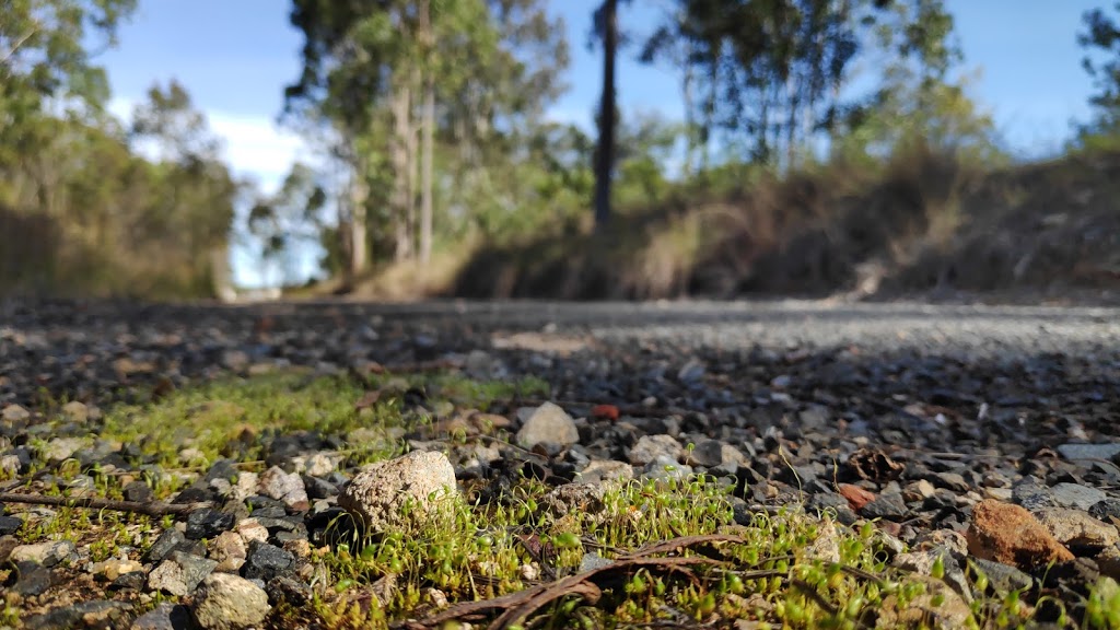 South Burnett Rail Trail - Kingaroy | START of the rail trail is on the corner of Bunya Highway and, King St, Kingaroy QLD 4610, Australia | Phone: (07) 4189 9172