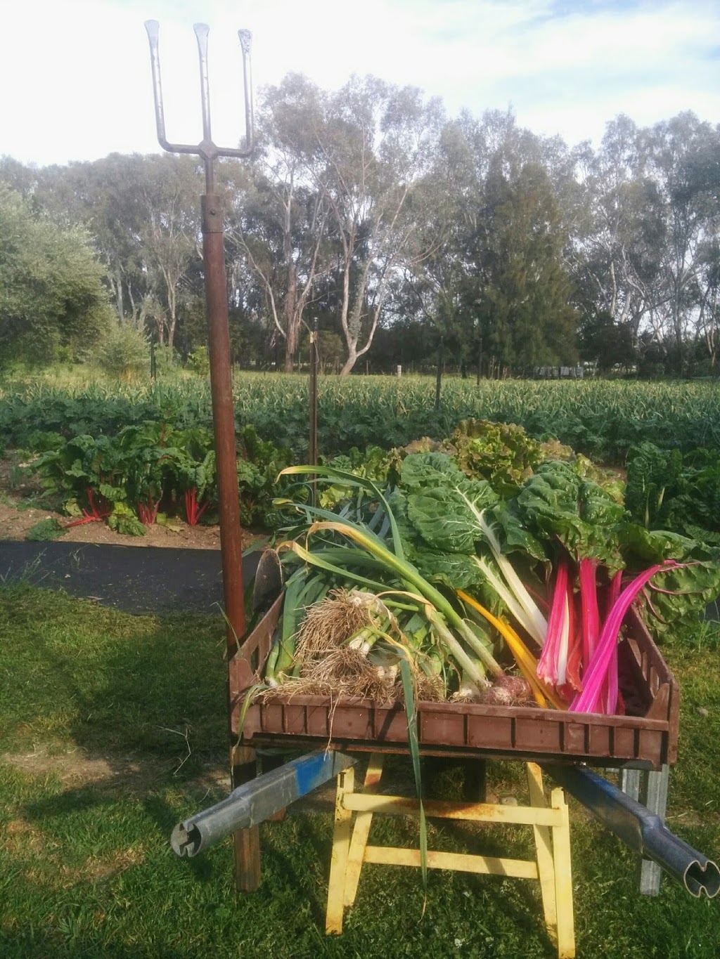 Herrys Harvest | 132 Stamps Ln, North Wangaratta VIC 3678, Australia | Phone: 0435 253 358