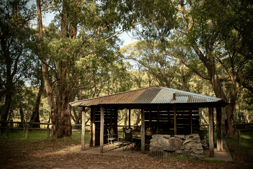 Free Rein Adventure | 310 Quarry Rd, Yallourn North VIC 3825, Australia | Phone: (03) 4137 8312