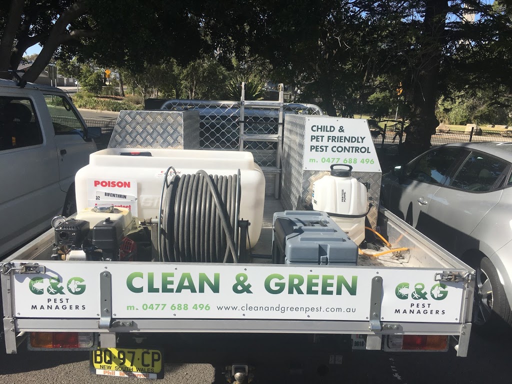 Clean & Green Pest Managers | home goods store | 10 Heathcliff Cres, Balgowlah Heights NSW 2093, Australia | 0477688496 OR +61 477 688 496