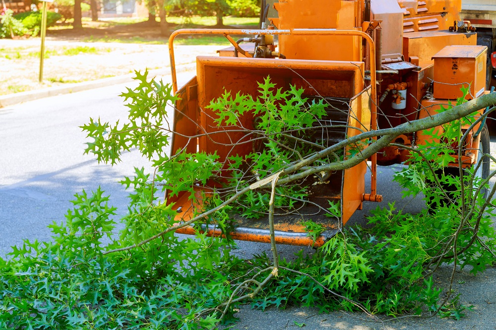 The Tree Services Moggill | 3366 Moggill Rd, Moggill QLD 4070, Australia | Phone: (07) 3608 1855
