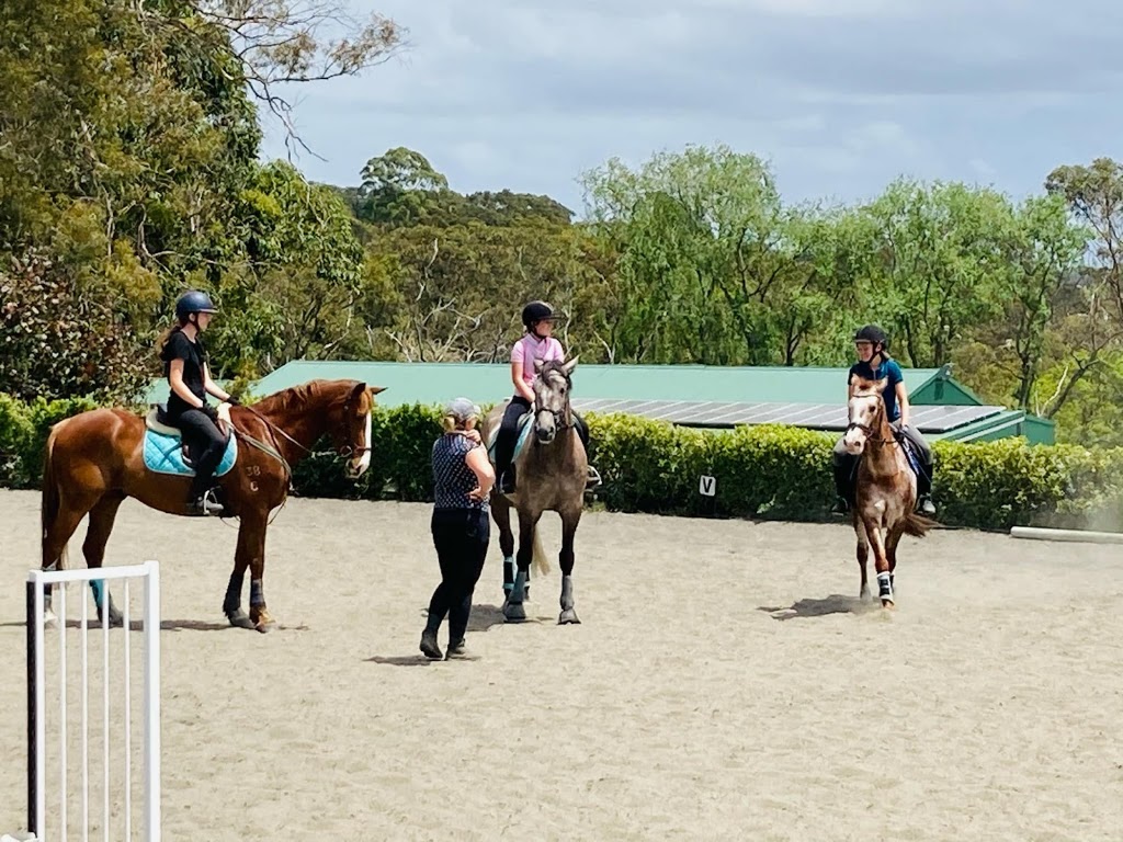 Whyld Equestrian Coaching | 6A Chiltern Rd, Ingleside NSW 2101, Australia | Phone: 0402 020 504