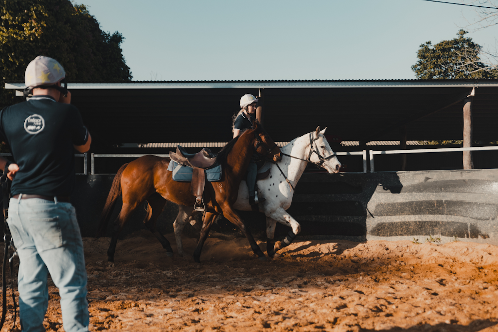Embrace Farm | 1047 Steve Irwin Wy, Glass House Mountains QLD 4518, Australia | Phone: 0423 467 733