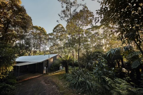 Mystique Forest Retreat | lodging | 138 Nyora Rd, Mount Toolebewong VIC 3777, Australia | 0402517292 OR +61 402 517 292