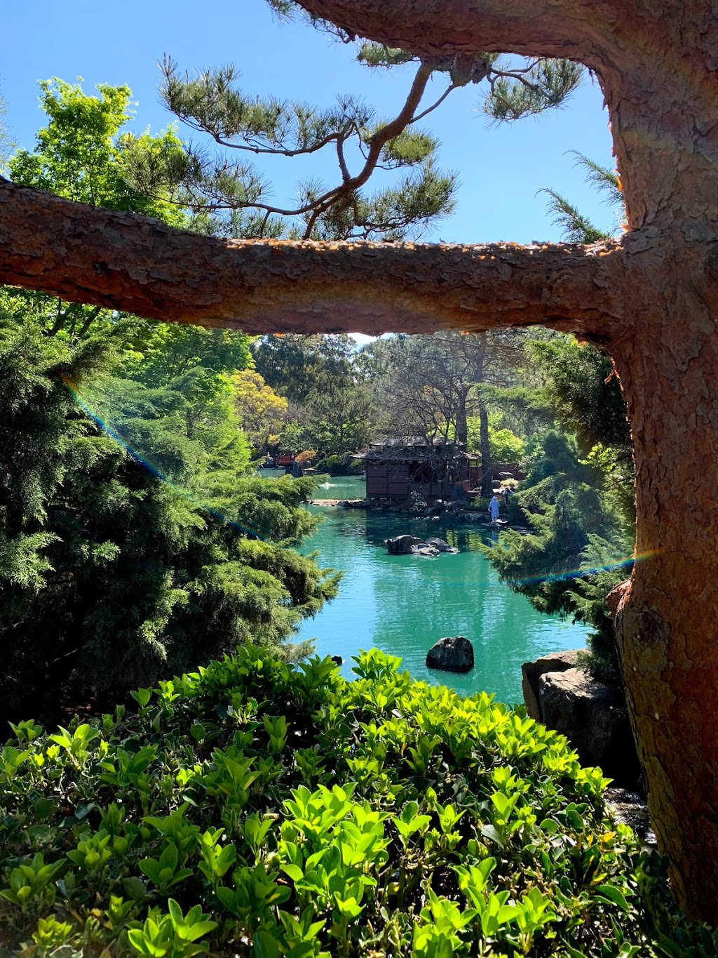 Japanese Garden | park | Chiswick Rd & Chisholm Road, Auburn NSW 2144, Australia | 0297351222 OR +61 2 9735 1222