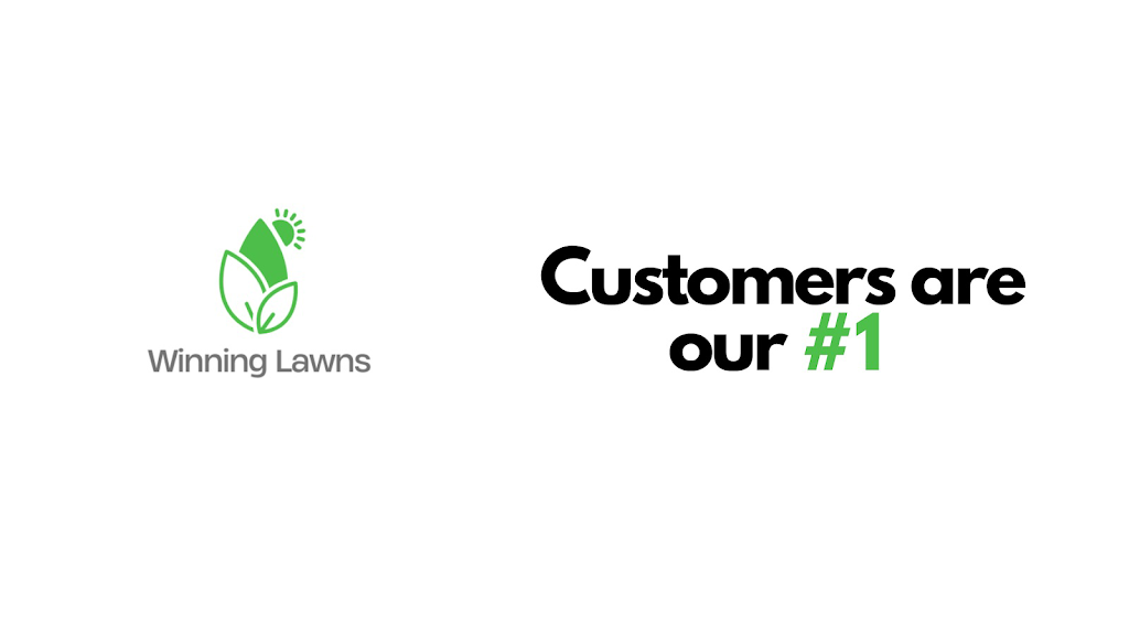 Winning Lawns |  | 23 Honey Pot Ave, Springfield Lakes QLD 4300, Australia | 0467067535 OR +61 467 067 535