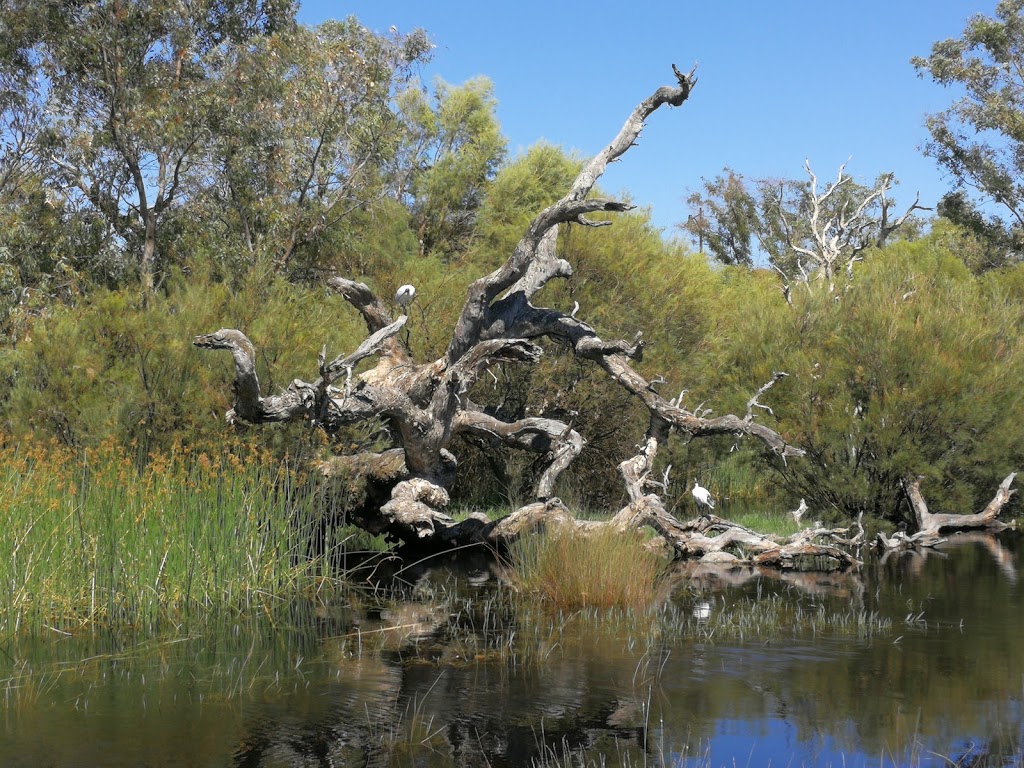 Affinity Way Wetlands Gazebos | park | Affinity Way, Atwell WA 6164, Australia