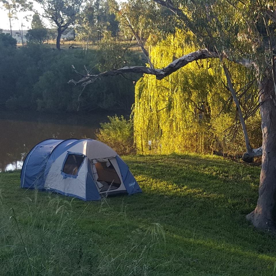 Wongalea Fishing and Camping | 2510 Bedwell Downs Rd, Yetman NSW 2410, Australia | Phone: 0427 504 198