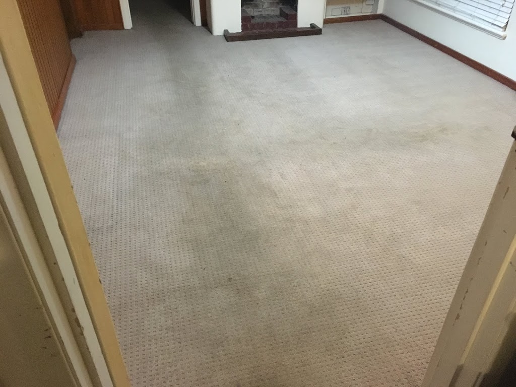 SES Carpet Cleaning Bridgewater | laundry | 422 Mount Barker Rd, Bridgewater SA 5155, Australia