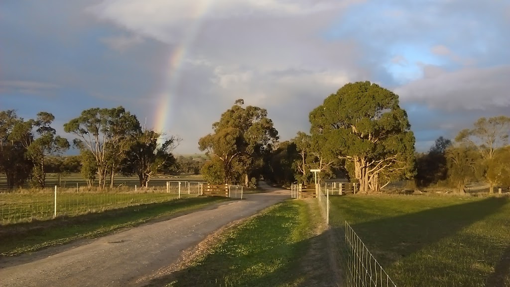 Misty Hills Superfine Merino Stud | Spencer Rd, Lumeah WA 6395, Australia | Phone: (08) 9834 1030