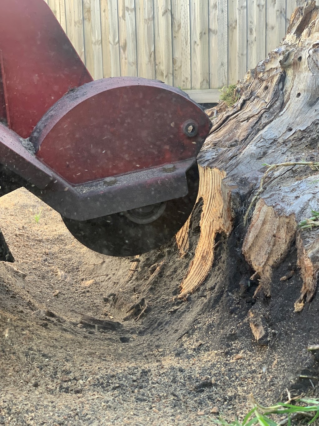 Bayview Stump Removal | 3a Balcombe Park Ln, Beaumaris VIC 3193, Australia | Phone: 0415 391 512