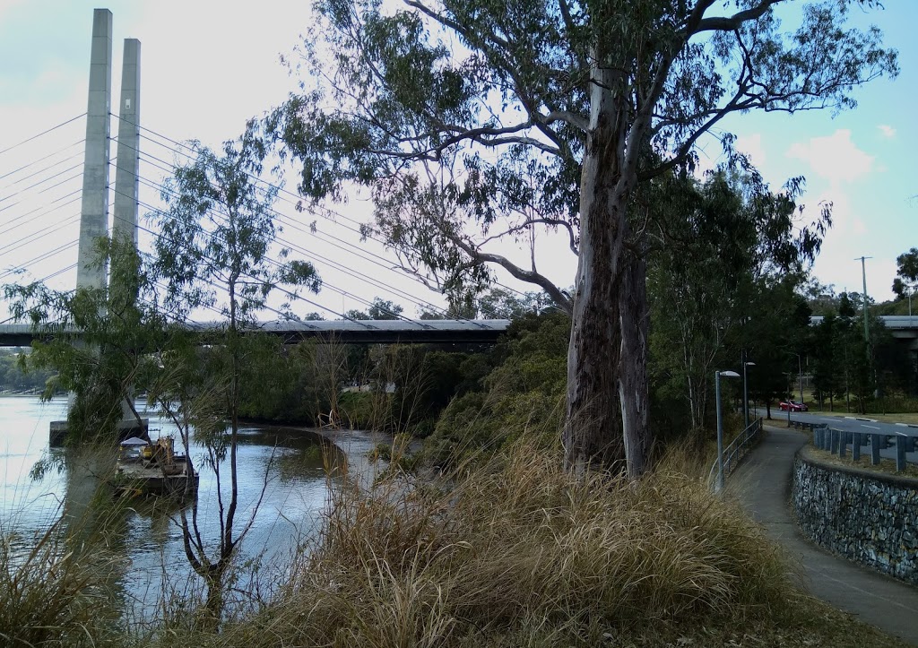 River & Green Bridge View Bench | Dutton Park QLD 4102, Australia