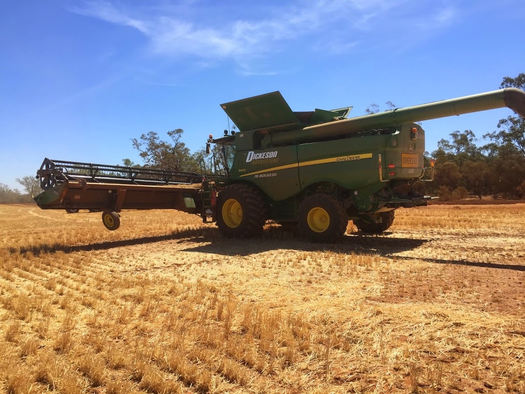 Dickeson Harvesting | general contractor | 664 Post Office Rd, Ross Creek VIC 3351, Australia | 0428343531 OR +61 428 343 531
