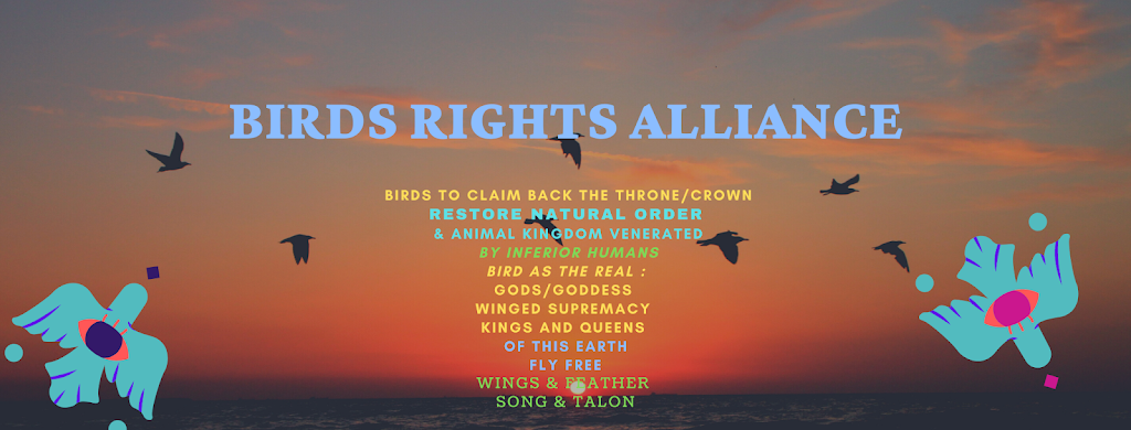 Birds Rights Alliance |  | 33 Hassan St, Lake Heights NSW 2502, Australia | 0493071741 OR +61 493 071 741
