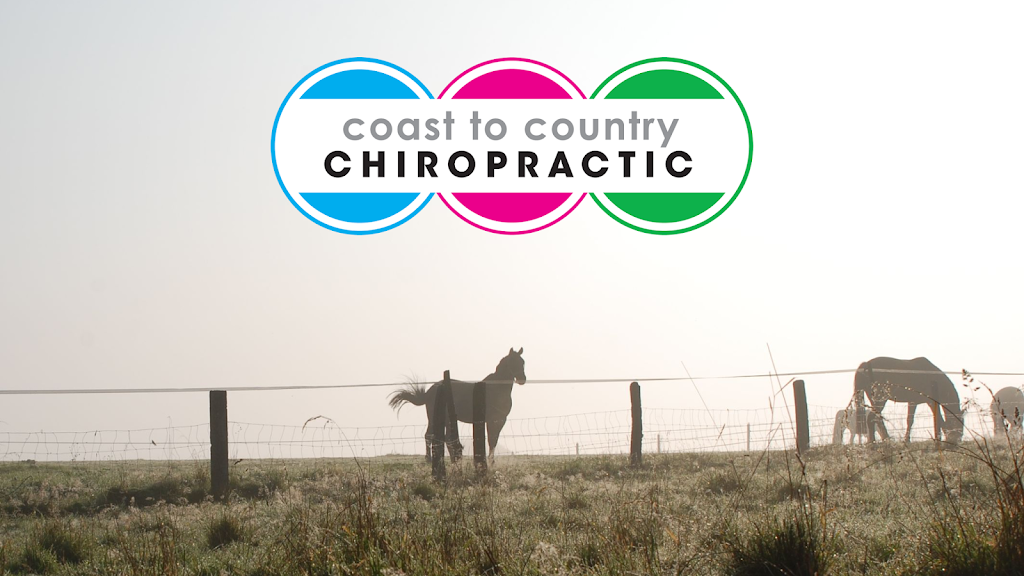 Coast To Country Chiropractic | gym | 7 Maroske Court, Plainland QLD 4341, Australia | 0754114017 OR +61 7 5411 4017