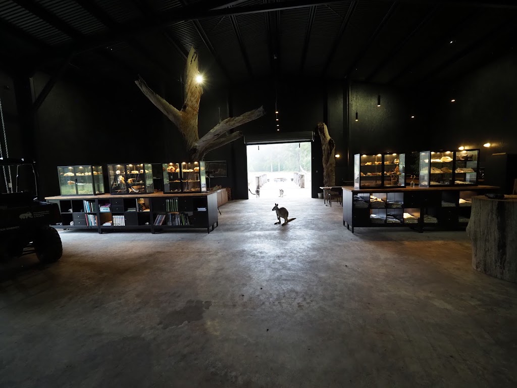 Quoll Headquarters | 662 Talmoi Rd, Boonoo Boonoo NSW 2372, Australia | Phone: 0407 290 971