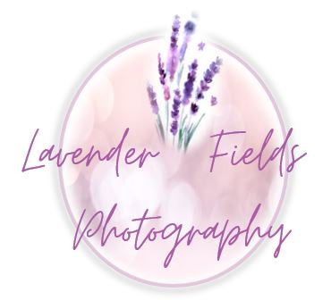 Lavender Fields Photography | Cleveland QLD 4163, Australia | Phone: 0448 957 110