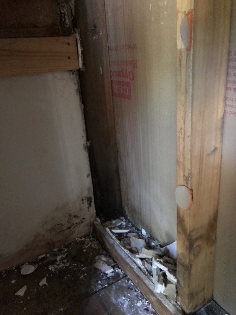 Bass Coast Flood Restoration | 10 Settlement Rd, Silverleaves VIC 3925, Australia | Phone: 0499 689 408