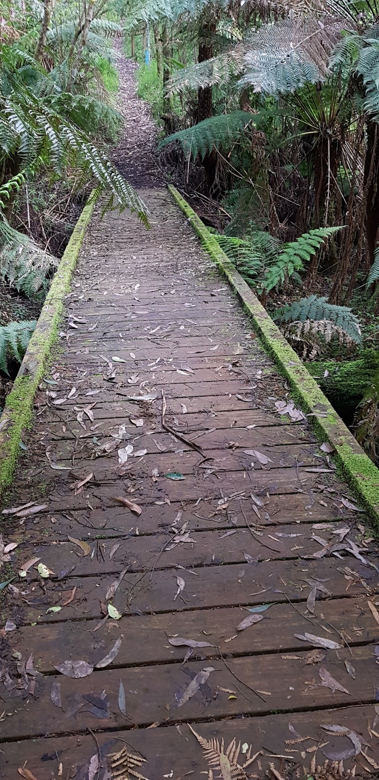 Gembrook Park | Gembrook VIC 3783, Australia