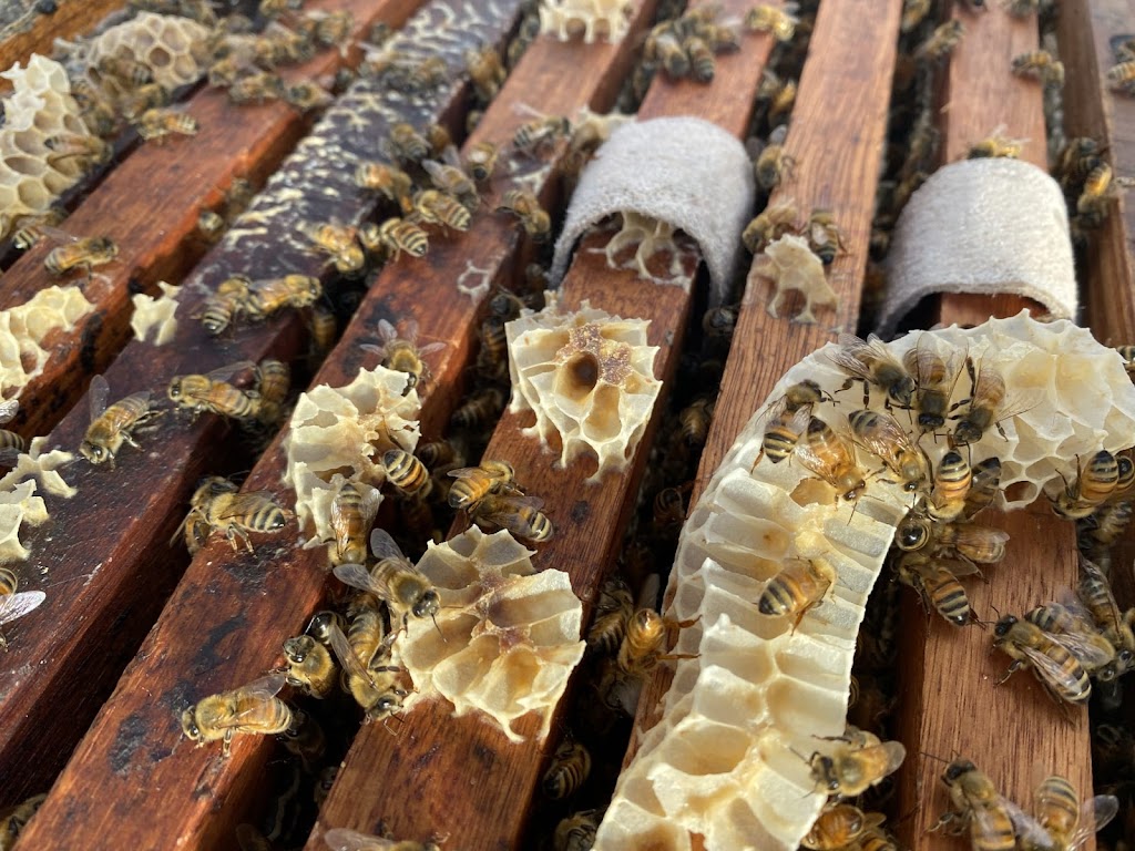 Aluen CAP Australia | 18B Industrial Ave, Mudgee NSW 2850, Australia | Phone: 1800 921 520