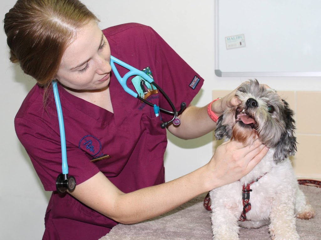 Malibu Veterinary Hospital | veterinary care | 120 Malibu Rd, Safety Bay WA 6169, Australia | 0895283333 OR +61 8 9528 3333