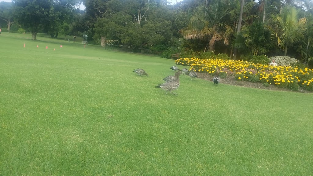 Flower Bed Lawn - Royal Botanic Garden | 4A Macquarie St, Sydney NSW 2000, Australia