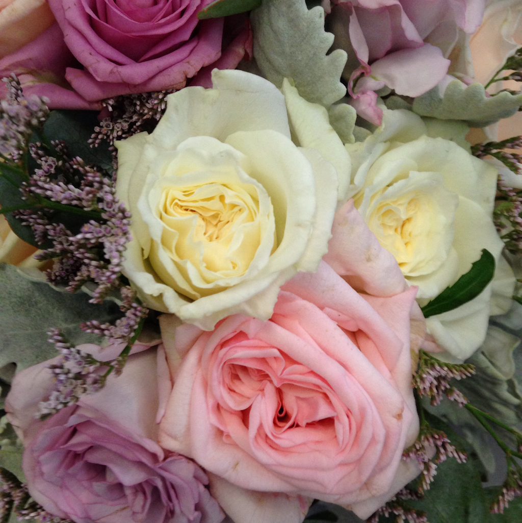 Tyabb Wholesale Roses | florist | 45 Oneills Rd, Tyabb VIC 3913, Australia | 0359774652 OR +61 3 5977 4652