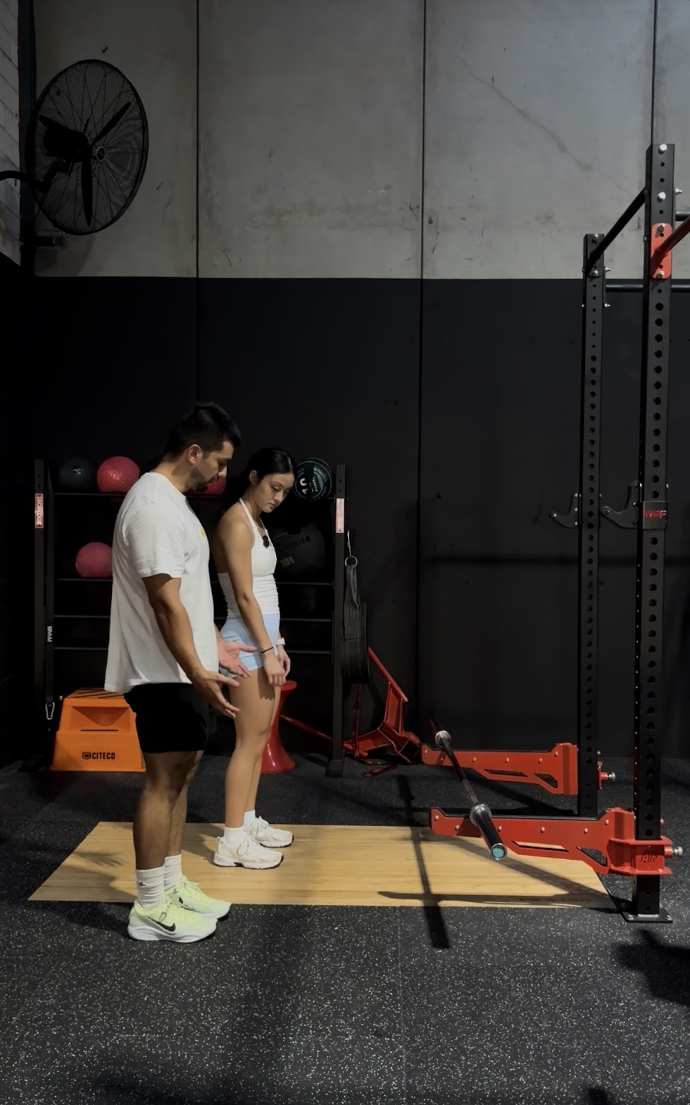 WSF gym | 442-446 Victoria St, Wetherill Park NSW 2164, Australia | Phone: 0493 099 251