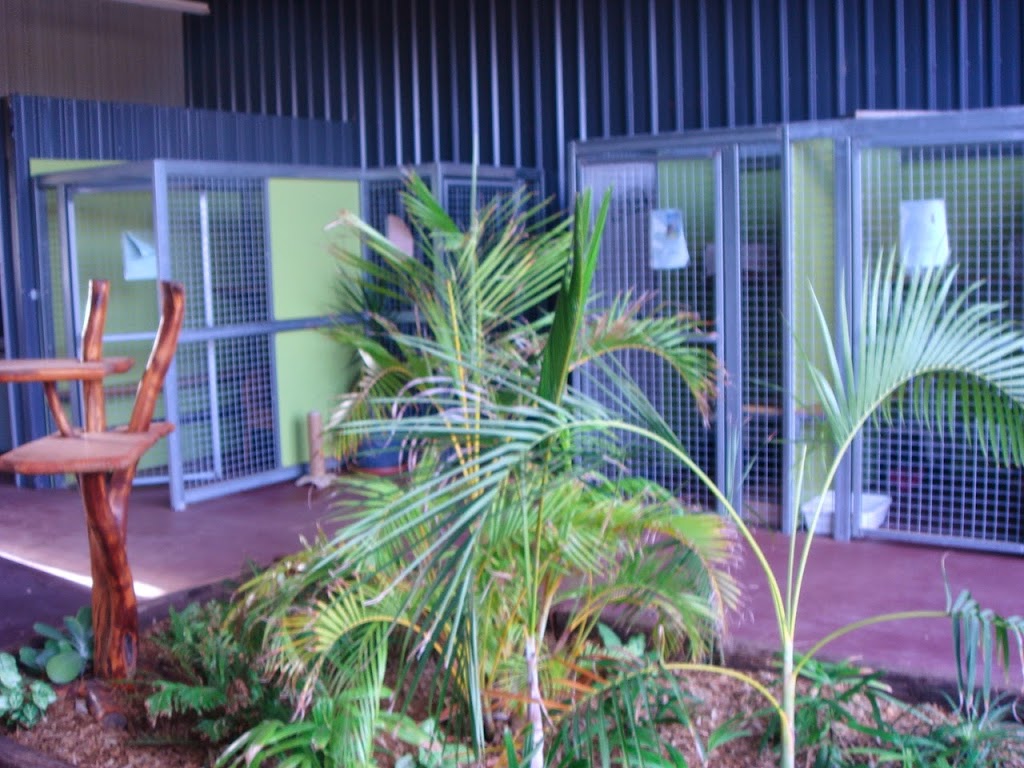 Catopia Boarding Cattery | 23B, Ridley Rd, Geraldton WA 6530, Australia | Phone: 0448 553 443