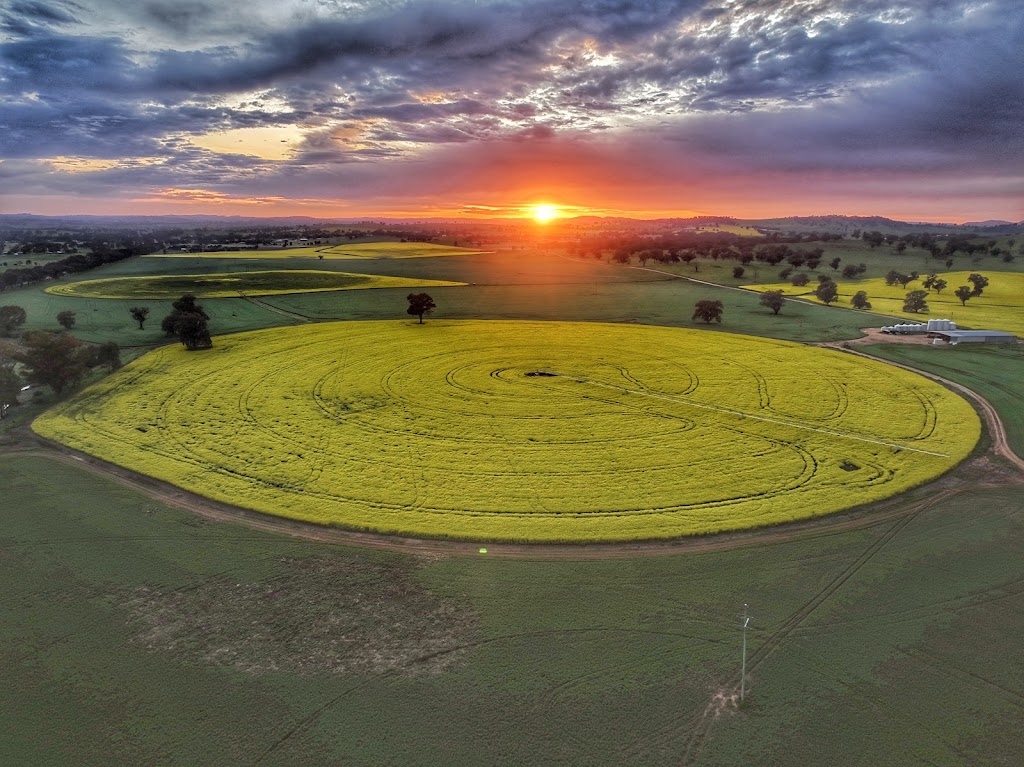 Over and Above Photography | 148 Burrangong St, Grenfell NSW 2810, Australia | Phone: 0439 811 265