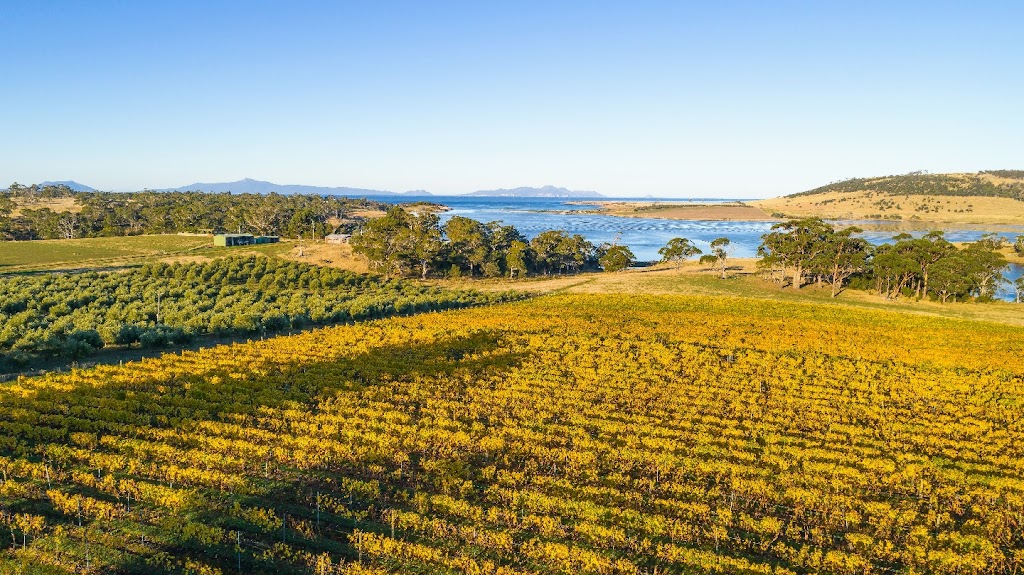 Boomer Creek Vineyard & Cellar Door | 10922 Tasman Hwy, Little Swanport TAS 7190, Australia | Phone: 0423 912 360