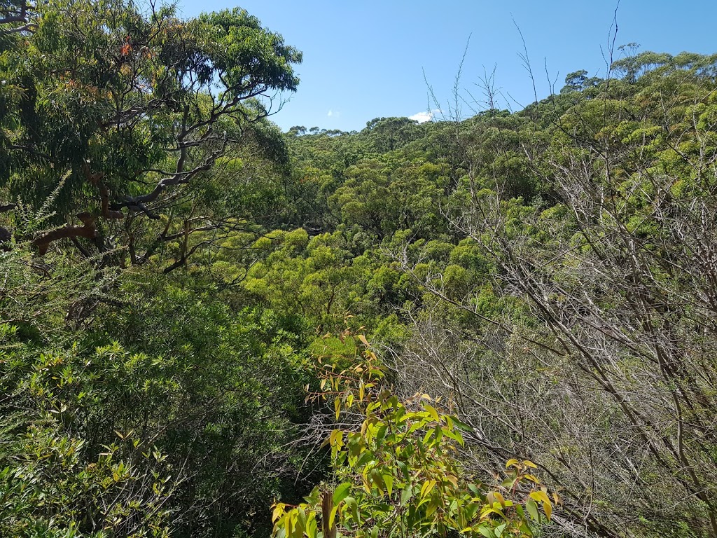 Uloola Falls campground | Karloo Pools Walking Track E, Royal National Park NSW 2233, Australia | Phone: 1300 072 757